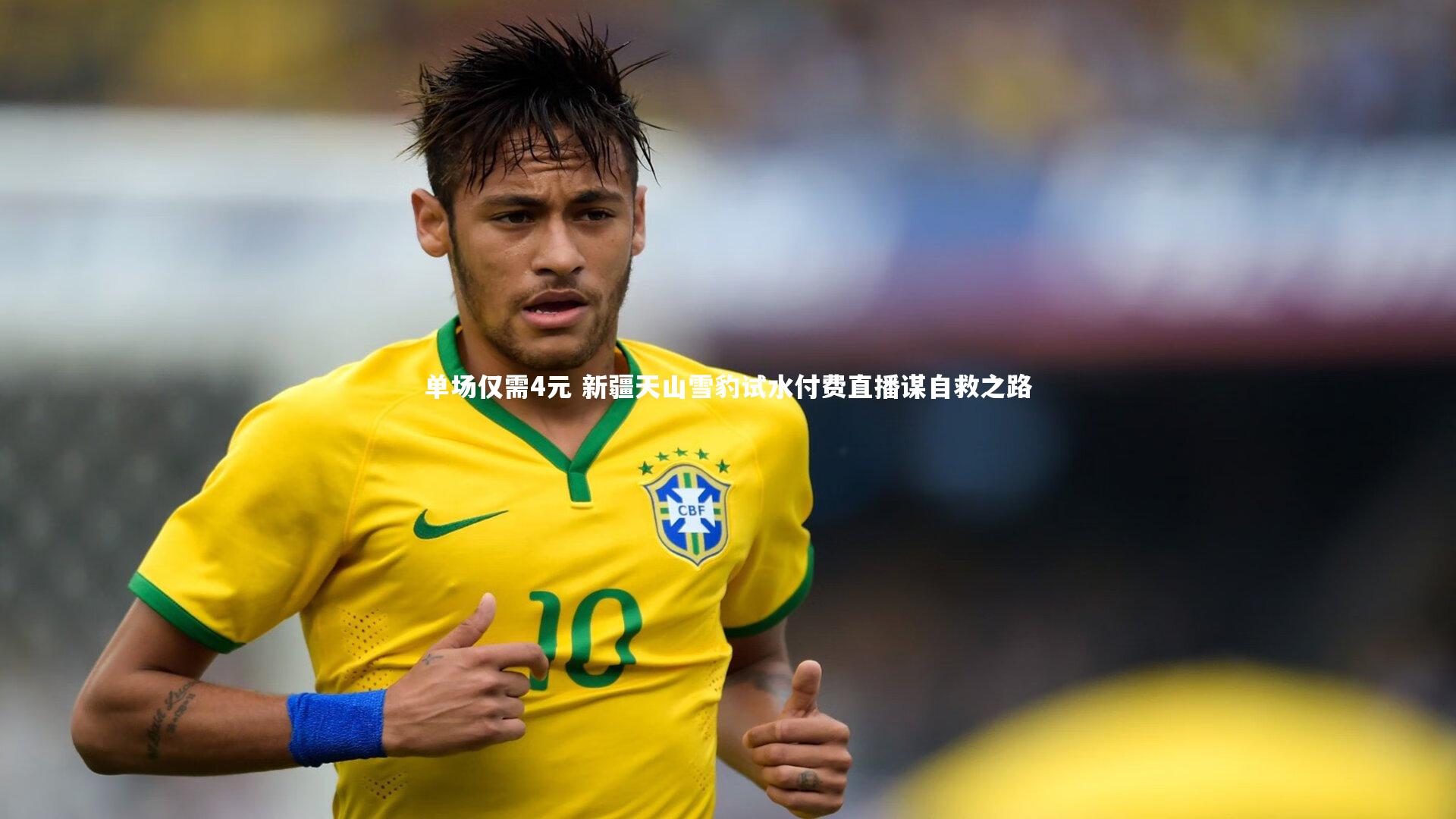 单场仅需4元 新疆天山雪豹试水付费直播谋自救之路