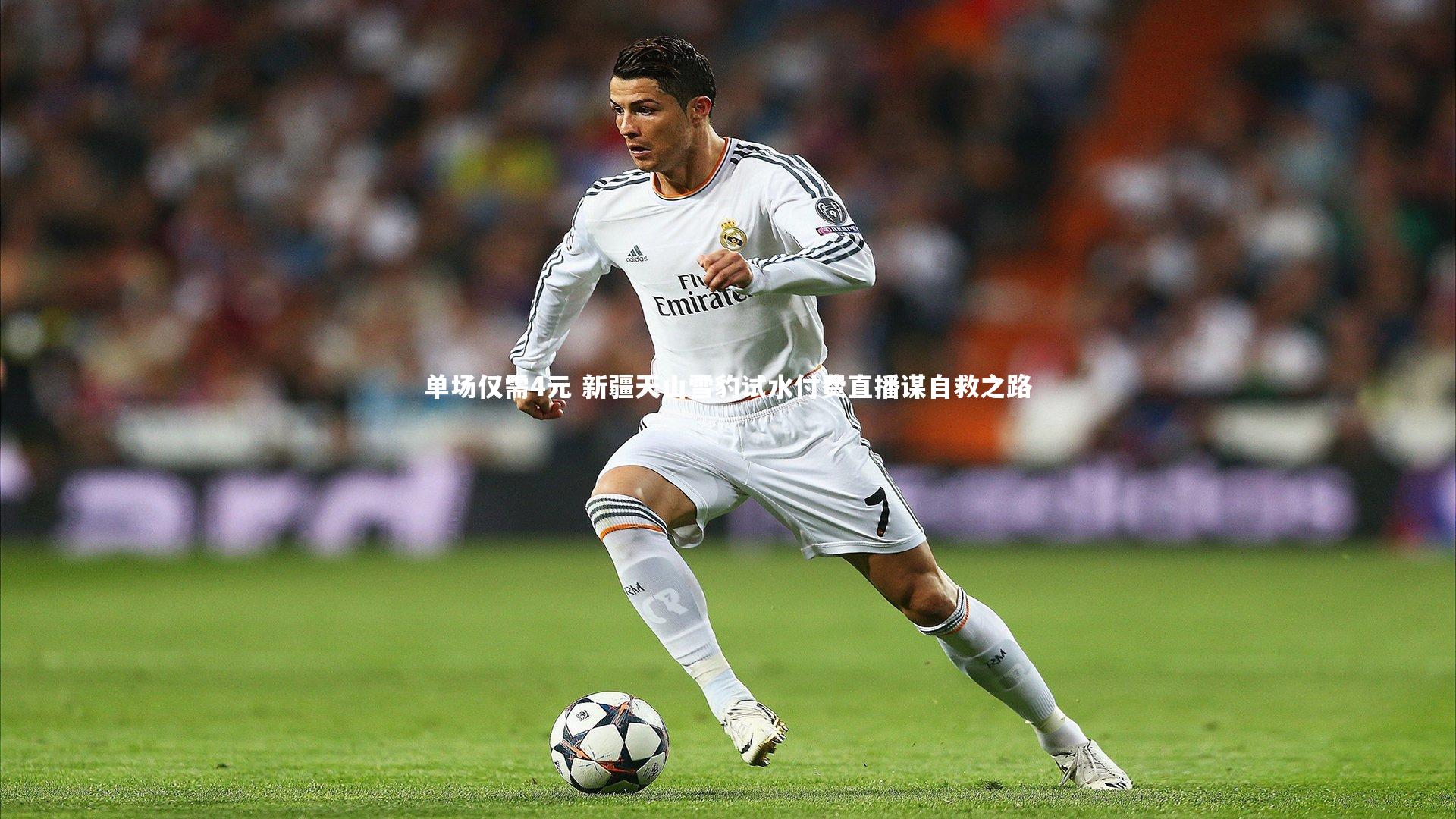 单场仅需4元 新疆天山雪豹试水付费直播谋自救之路